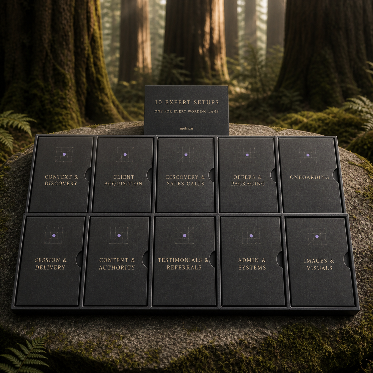 Ten fitted charcoal cartridges represent the ten category expert setups included in the final customer package