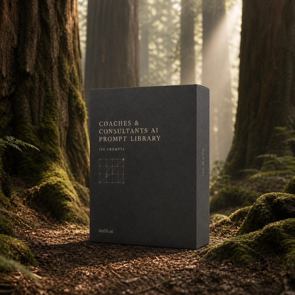 The Coaches & Consultants AI Prompt Library presentation box in an ancient redwood grove