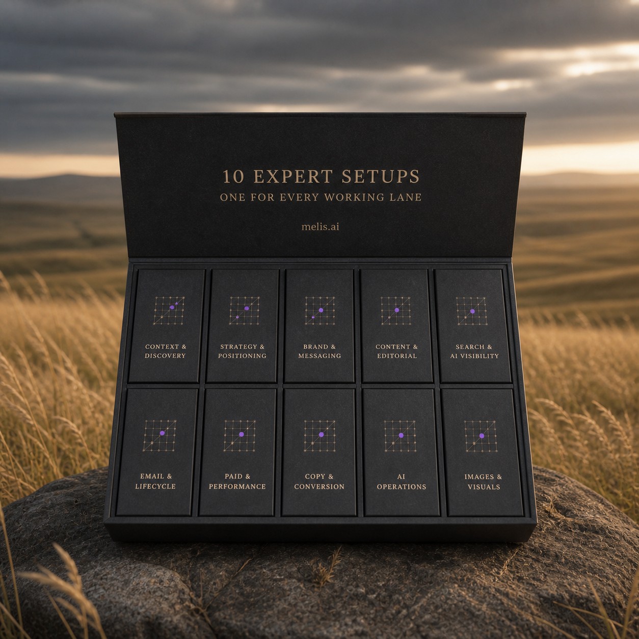Ten charcoal expert-setup cartridges sit in a fitted stone tray in a gold grassland