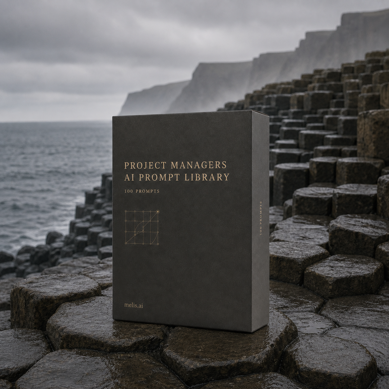 The Project Managers AI Prompt Library presentation box on a monumental basalt coast